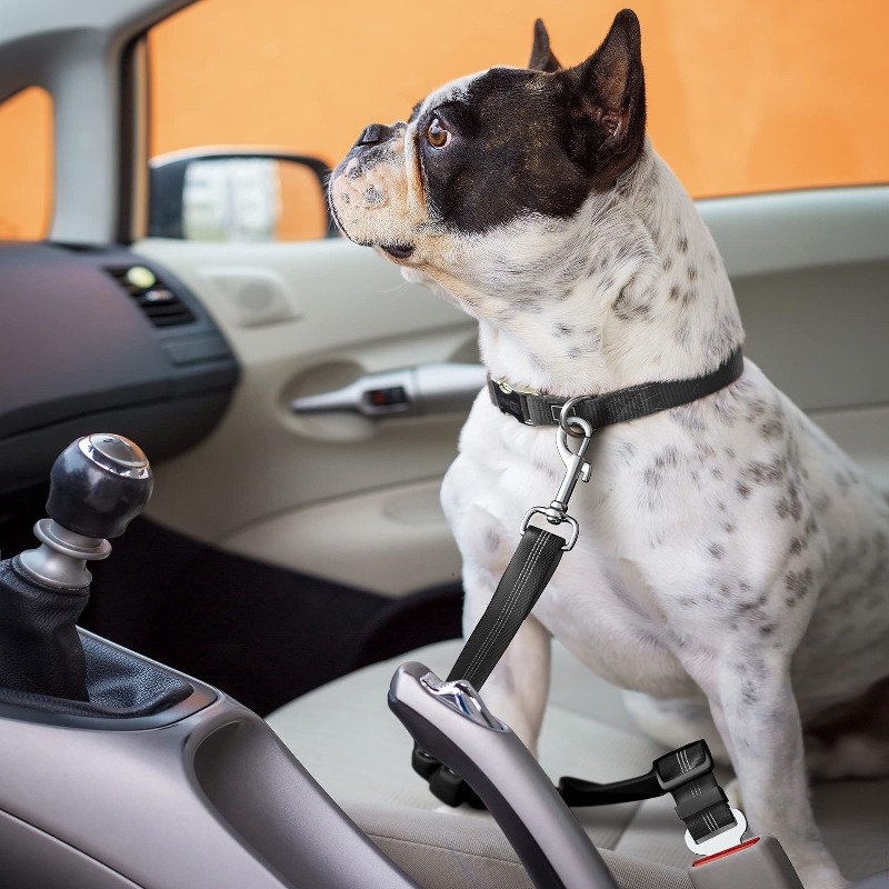 Inklapbare hondenautogordelset - Snap Fastener Setter recensie en prijs